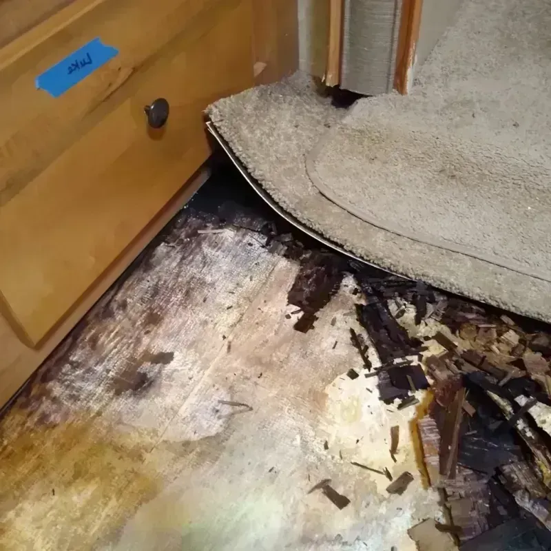 Best Wood Floor Water Damage Service in Garrett County, MD